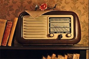 «نبض وطن» روی امواج رادیو