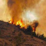 دستور قضایی برای بررسی آتش سوزی در جنگل ارسباران