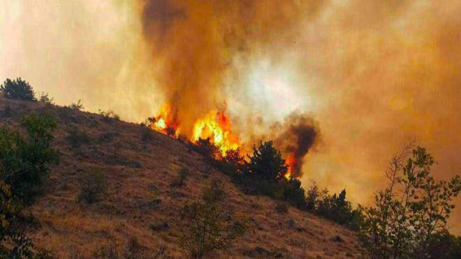دستور قضایی برای بررسی آتش سوزی در جنگل ارسباران