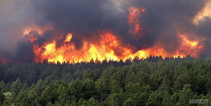 چگونه از آتش‌سوزی در طبیعت جلوگیری کنیم؟+اینفوگرافی