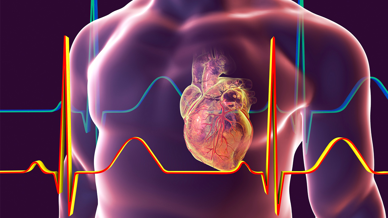 خطر مرگ های قلبی با دی اکسید نیتروژن هوا