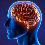 ارتباط بیماری صرع با پیری «مغز»