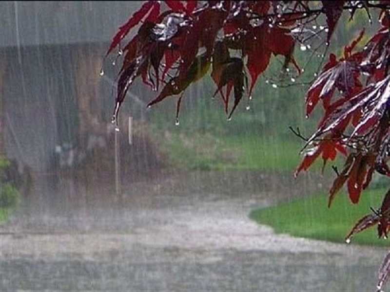 گیلان، مازندران و قزوین استانهای پر بارش