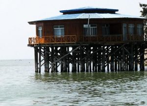 تخریب قلمرو زیستی با اجرای طرح آشوراده