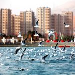 کمپین «مهمان حاج قاسم» در دریاچه خلیج فارس