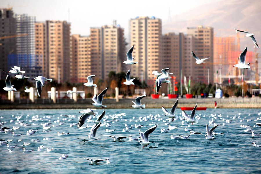 آبگیری دریاچه شهدای خلیج فارس تهران