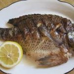 آسیب های تکثیر و پرورش ماهی تیلاپیا