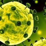 عوامل موثر در شدت و ضعف بیماری های ویروسی