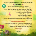 مسابقه قصه‌گویی مجازی «زیر گنبد کبود»