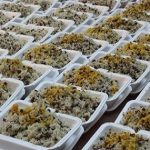 توزیع ۲۵ هزار پرس غذا در تهران برای نیازمندان