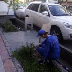 اجرای طرح شبانه مبارزه با جانوران مضر شهری در جنوب تهران