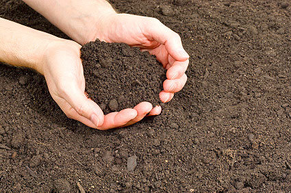 فرسایش و شوری خاک با تغییر اقلیم