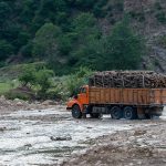 عوامل انسانی نگران کننده تخریب جنگل‌ها