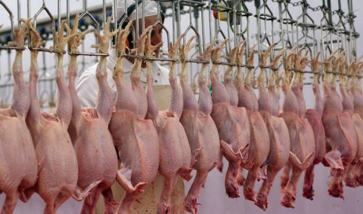 تأمین ۶۰ درصد مرغ مصرفی مردم تهران از میدان بهمن
