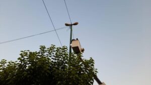 تامین روشنایی ۵ نقطه حادثه خیز در بزرگراه یادگار امام (ره)