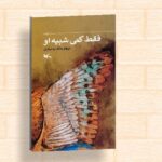 کتاب «فقط کمی شبیه او» منتشر شد