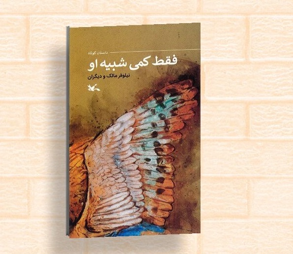 کتاب «فقط کمی شبیه او» منتشر شد